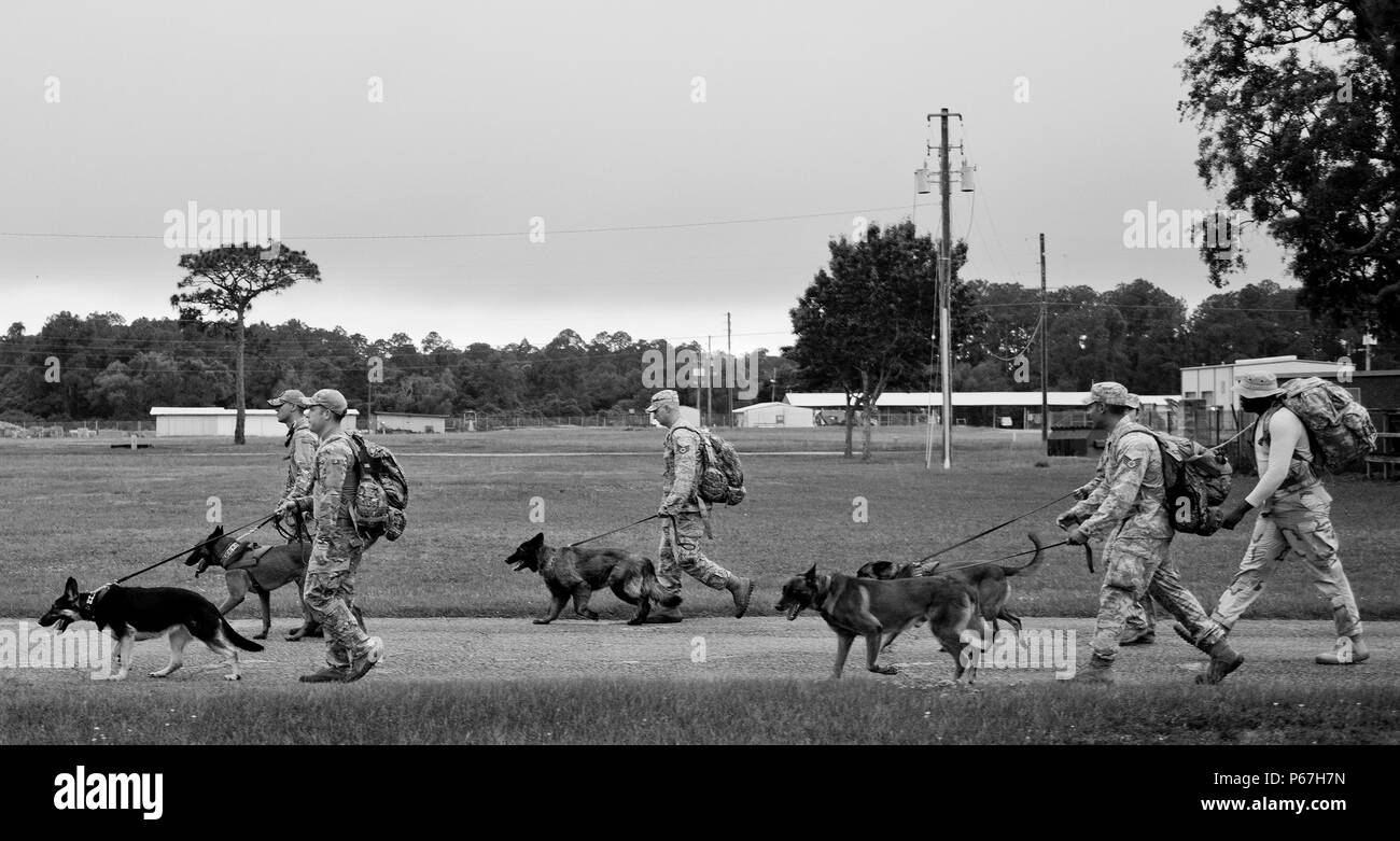 The 96th Security Forces Squadron’s military working dog teams walk through the rain to support