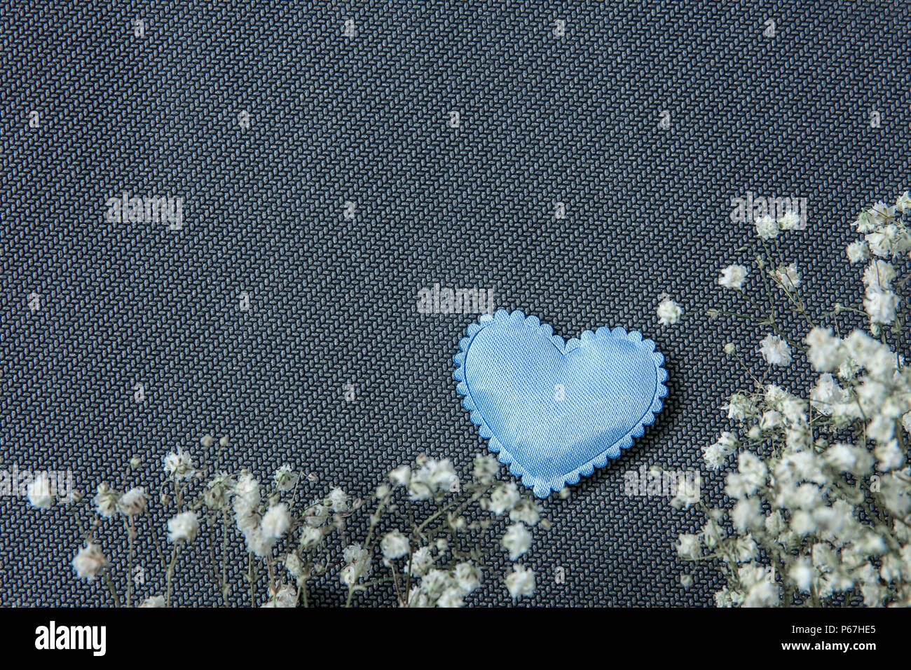 Heart and beautiful flowers on grey background Stock Photo