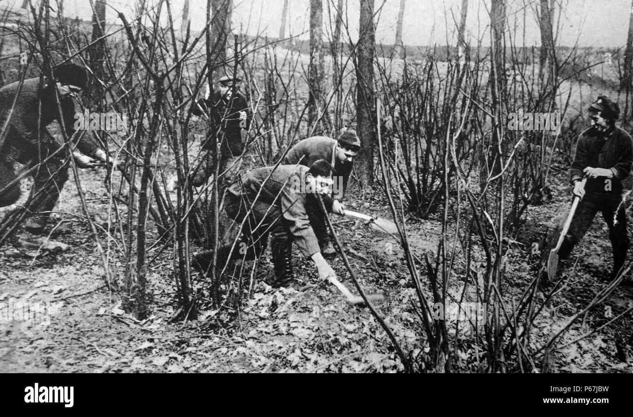 Canadian soldiers 'rat catching' during a break in fighting; world war one 1916 Stock Photo