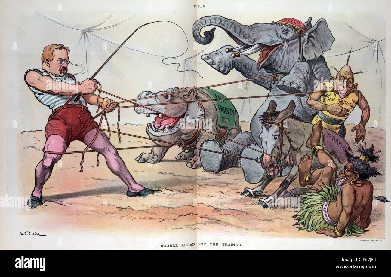 Trouble ahead for the trainer' President Theodore Roosevelt as a trainer in a circus, holding a whip and getting tangled in ropes attached to a hippopotamus labelled 'The Trusts', an elephant labelled 'G.O.P.', a donkey labelled 'Panama', and two natives labelled 'San Domingo' and 'Philippines'. Stock Photo