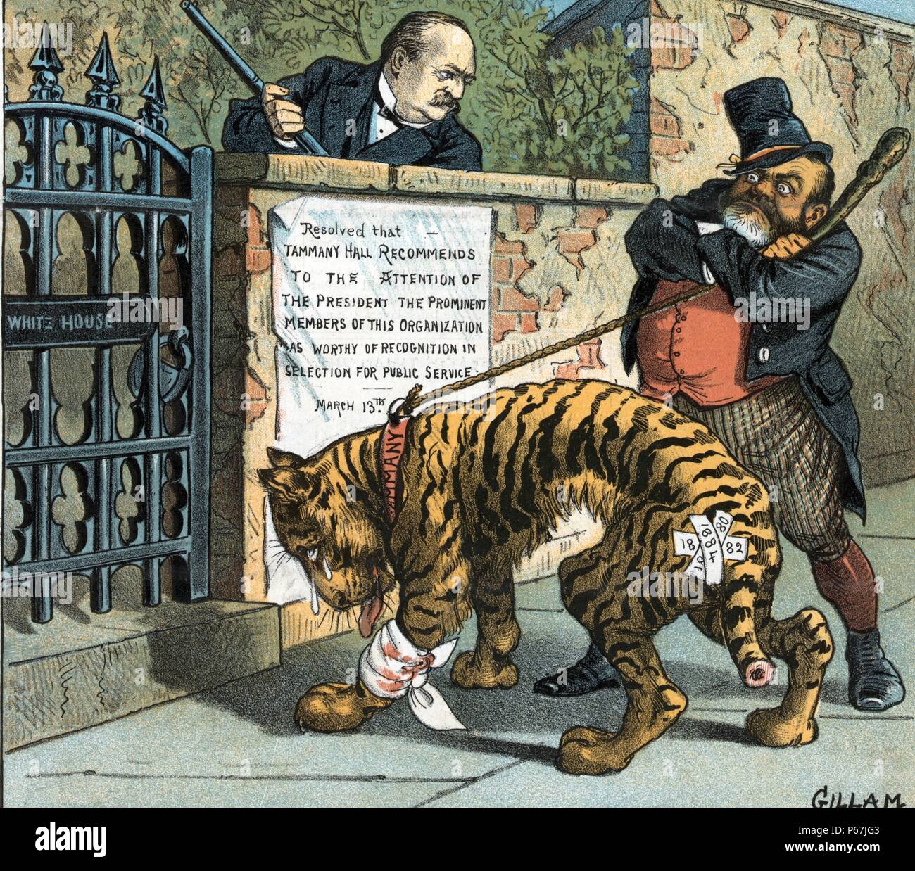 The issue' John Kelly holding a shillelagh in one hand and a rope tied to an injured tiger labelled 'Tammany' with bandages labelled '1880, 1882, [and] 1884' in the other, standing outside the 'White House' gate and Grover Cleveland holding a rifle, standing on the other side of the wall. Stock Photo