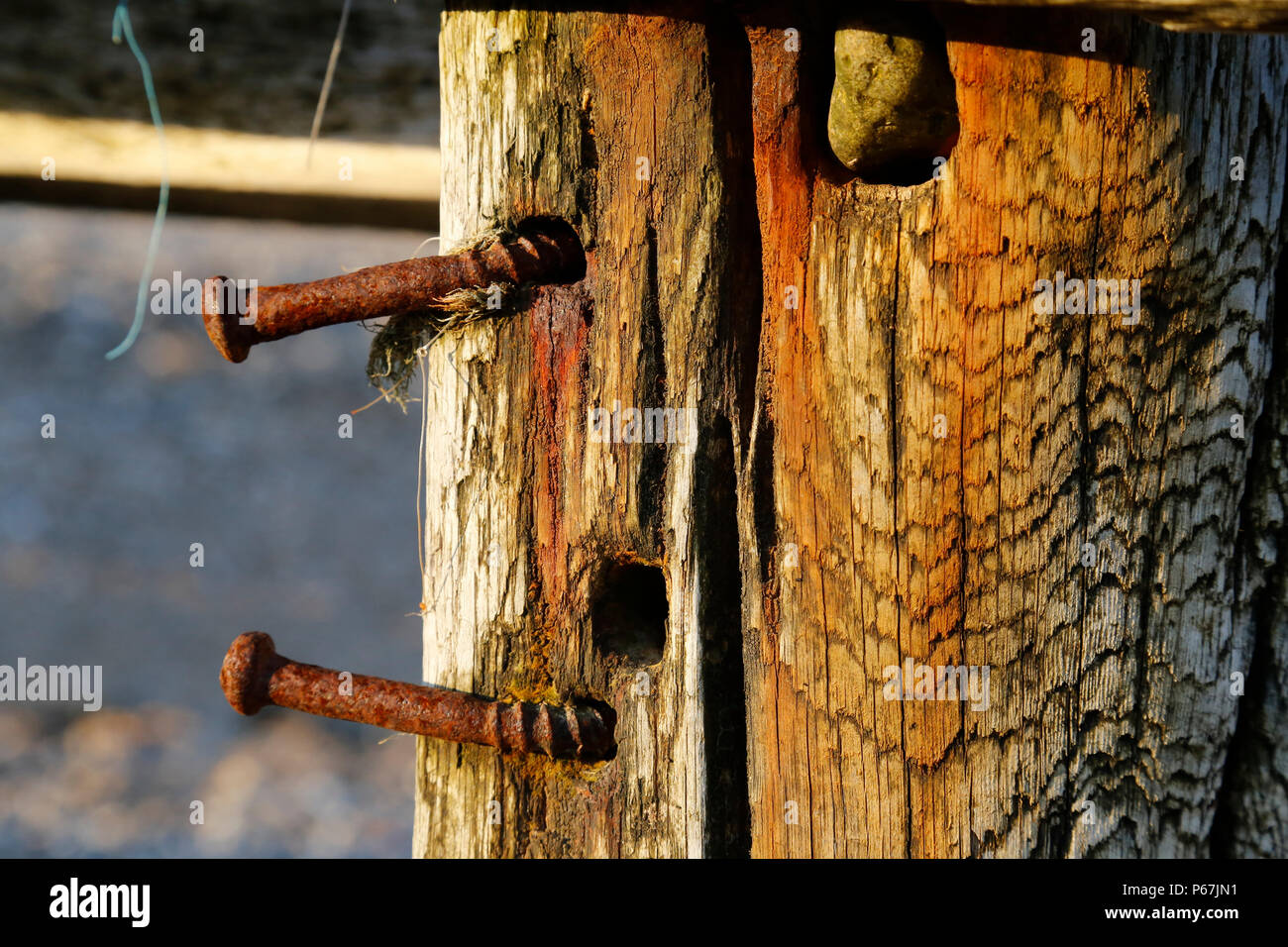 Rusty bent nails in breakwater Stock Photo