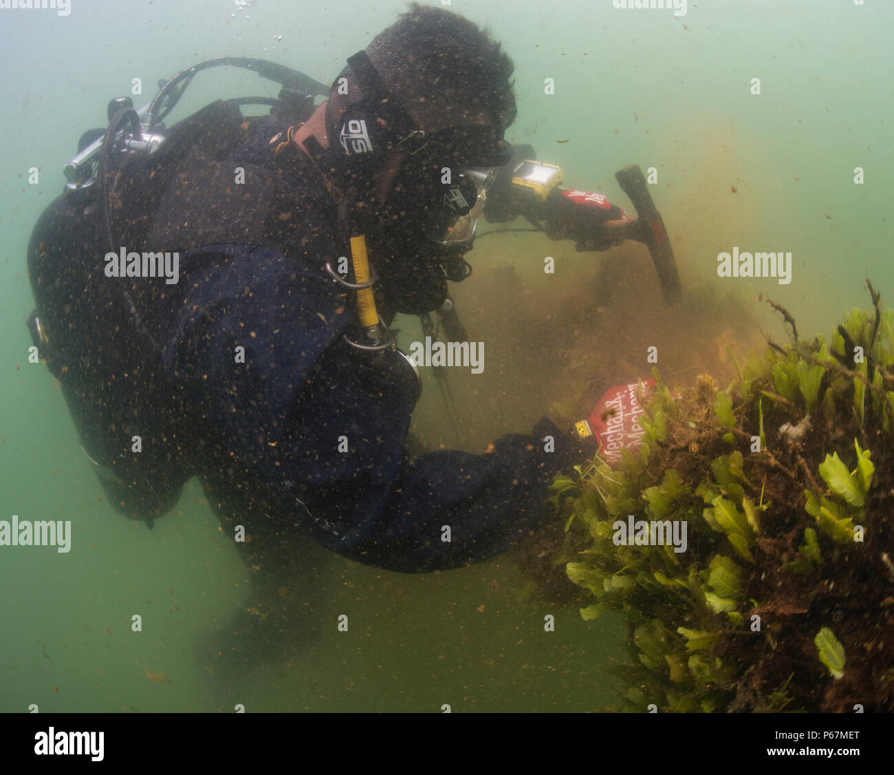 Engr Rouf Cdd UCT 2 CDD personnel remove marine growth from mooring chains and ...