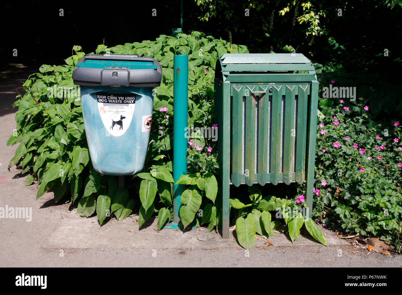 Dog waste bin and rubbish bin in a Welsh park Stock Photo