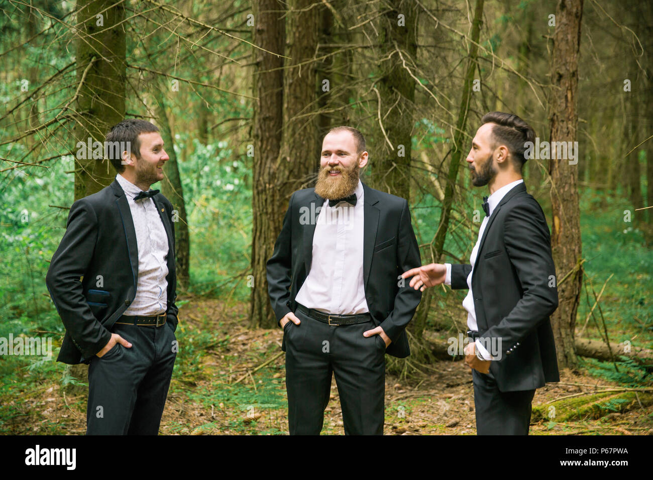 three successful business partner to discuss current Affairs in a pine forest Stock Photo