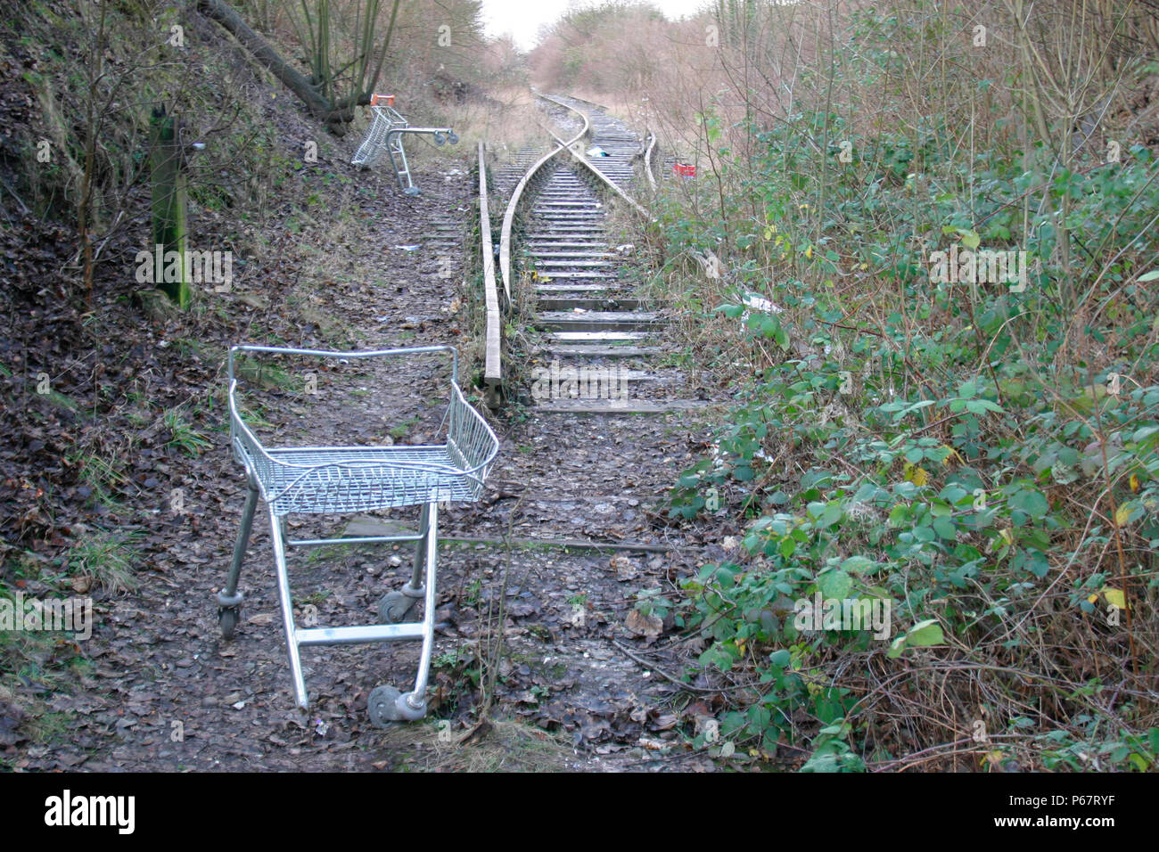 Overgrown and derelict - the disused Luton to Dunstable branch line at Dunstable. January 2004. Stock Photo