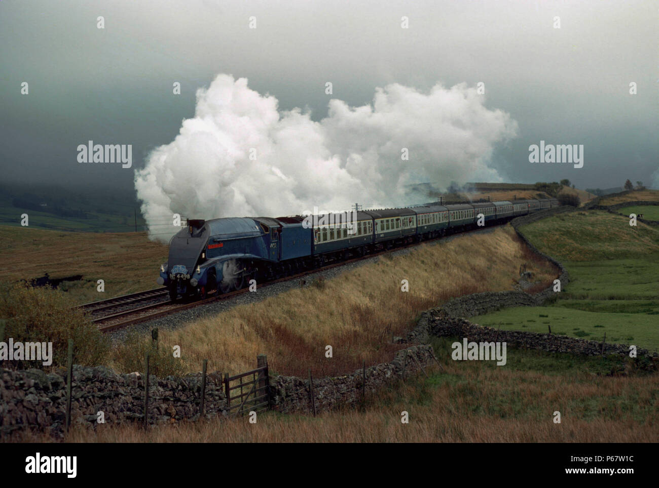 The Aire - Eden Limited. No.4498 Sir Nigel Gresley approaches Ais Gill summit from the south. 21.10.1978. Stock Photo