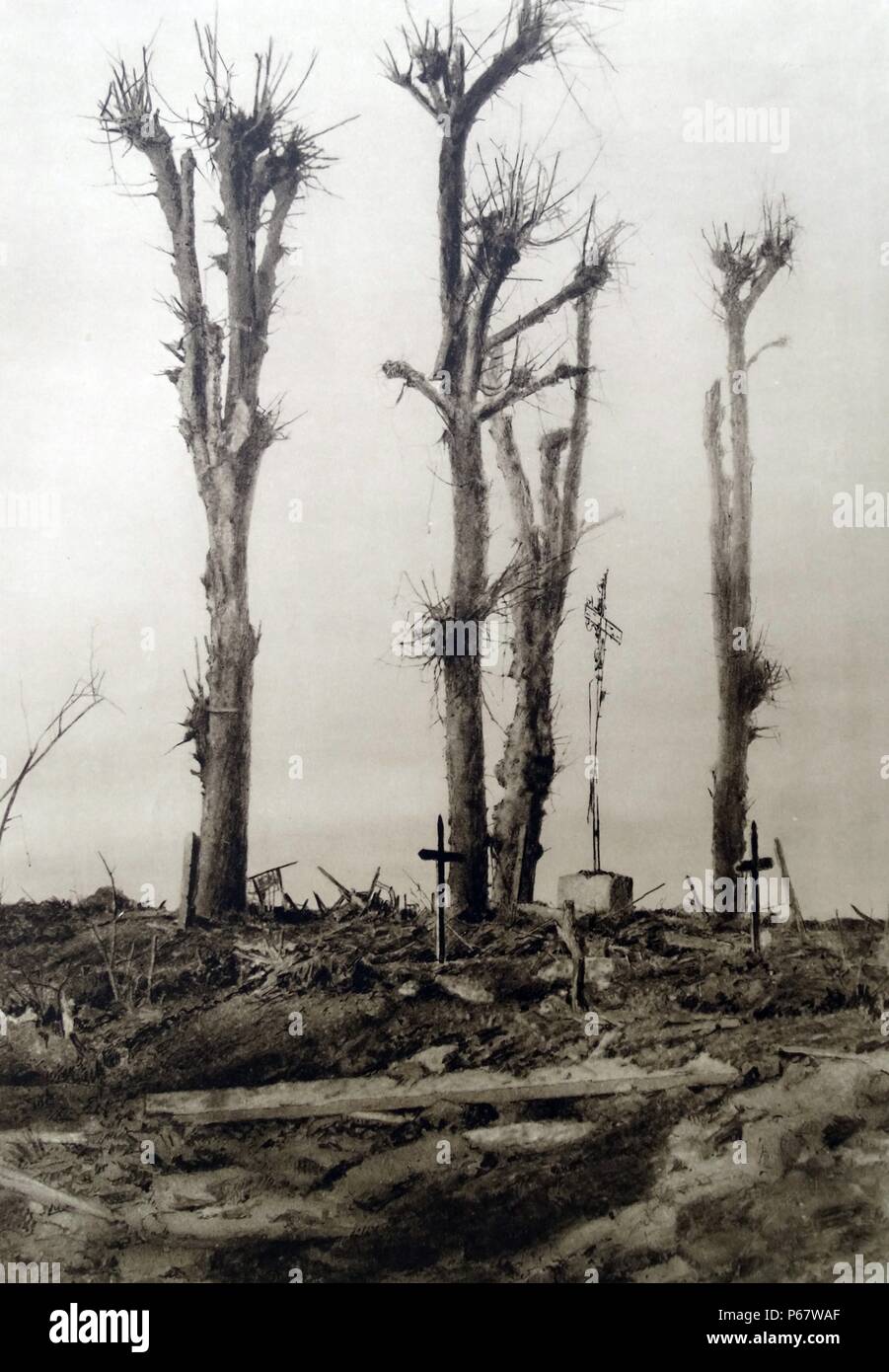 Temporary war graves at a French battlefield of World War One Stock Photo
