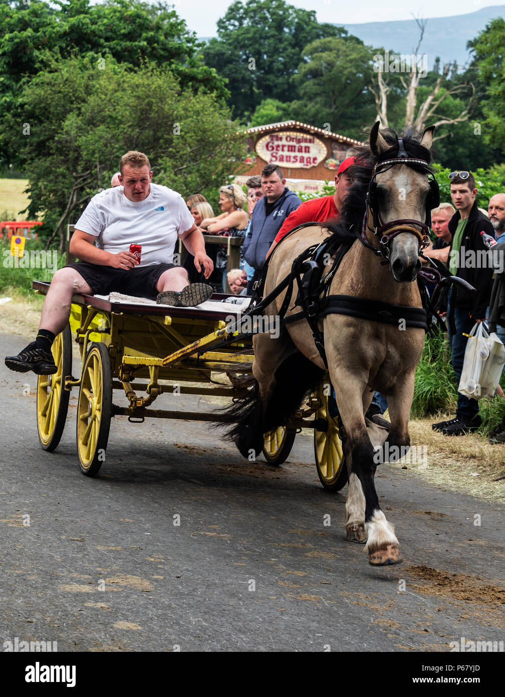 Appleby Horse Fair Cumbria, June 2018. Annual gathering of Gypsies and