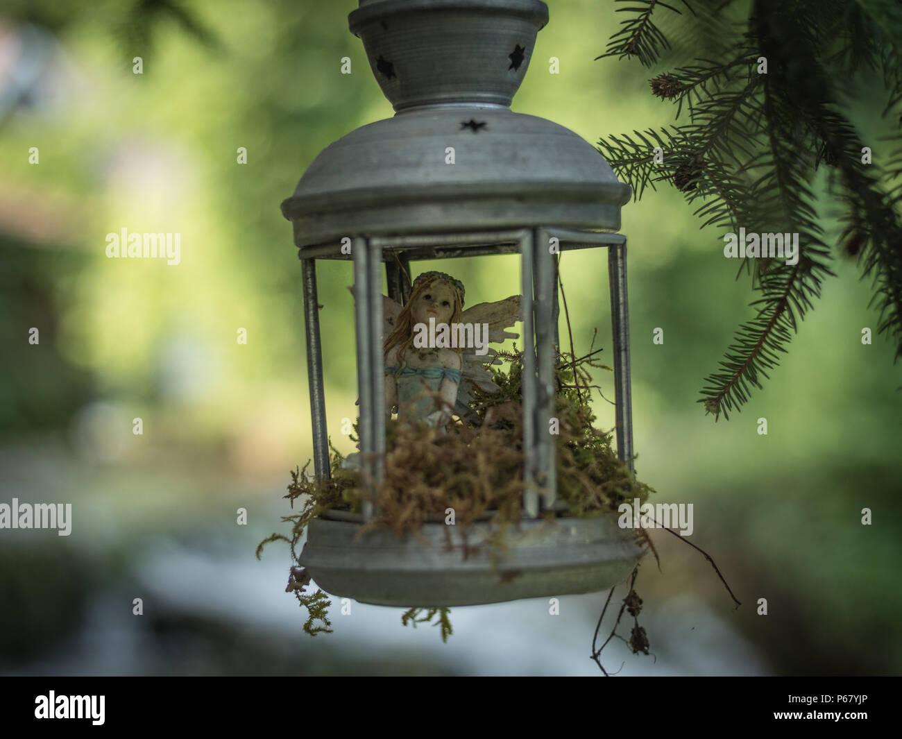 Closeup of a fairy figure sitting in a lantern that's hanging from a tree in a garden. Stock Photo
