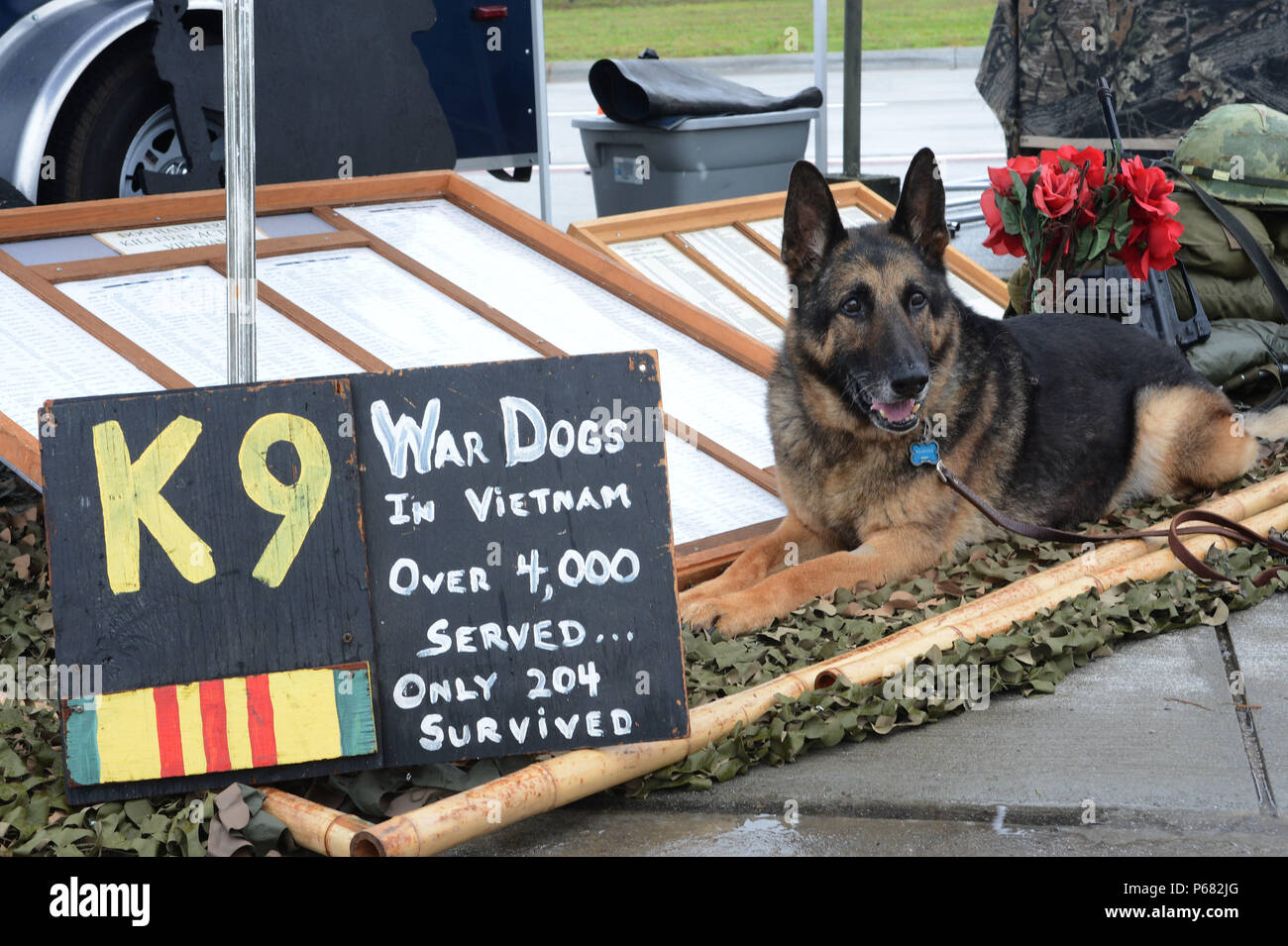 Luke, a retired military working dog, sits at the United States War Dogs Association display at the 2016 Shaw Air Expo and open house, 'Thunder Over the Midlands,' at Shaw Air Force Base, S.C., May 21, 2016. Stock Photo