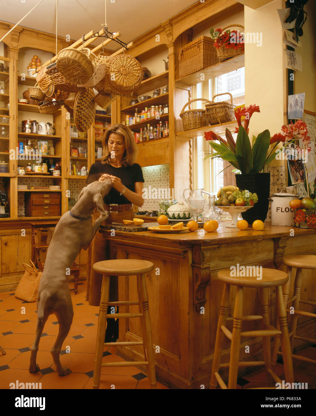 Woman standing in kitchen with Weimaraner dog         FOR EDITORIAL USE ONLY Stock Photo