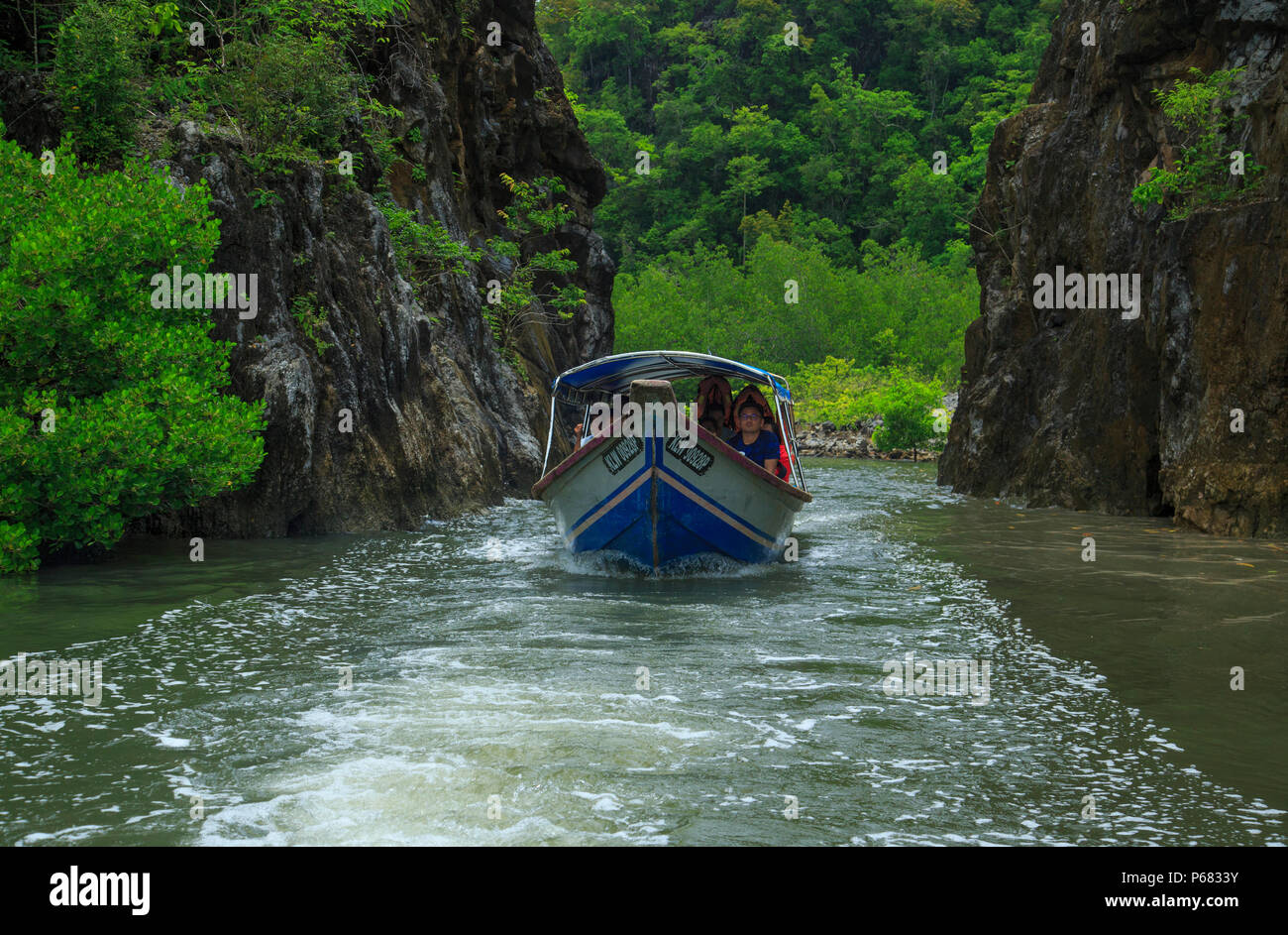 Langkawi Mangrove Tour By Boat - Malaysia Stock Photo