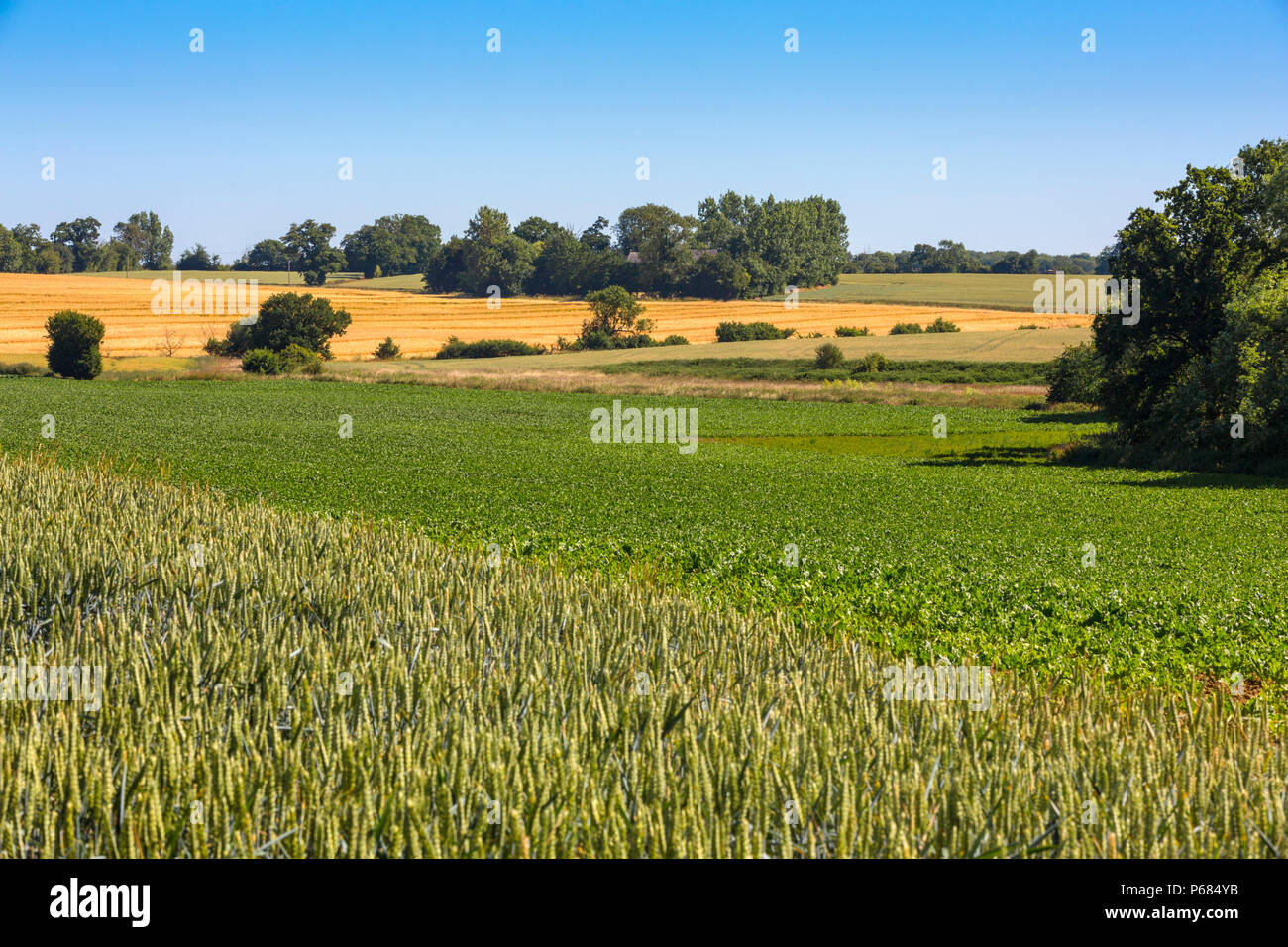 Mixed Crop And Livestock Farming