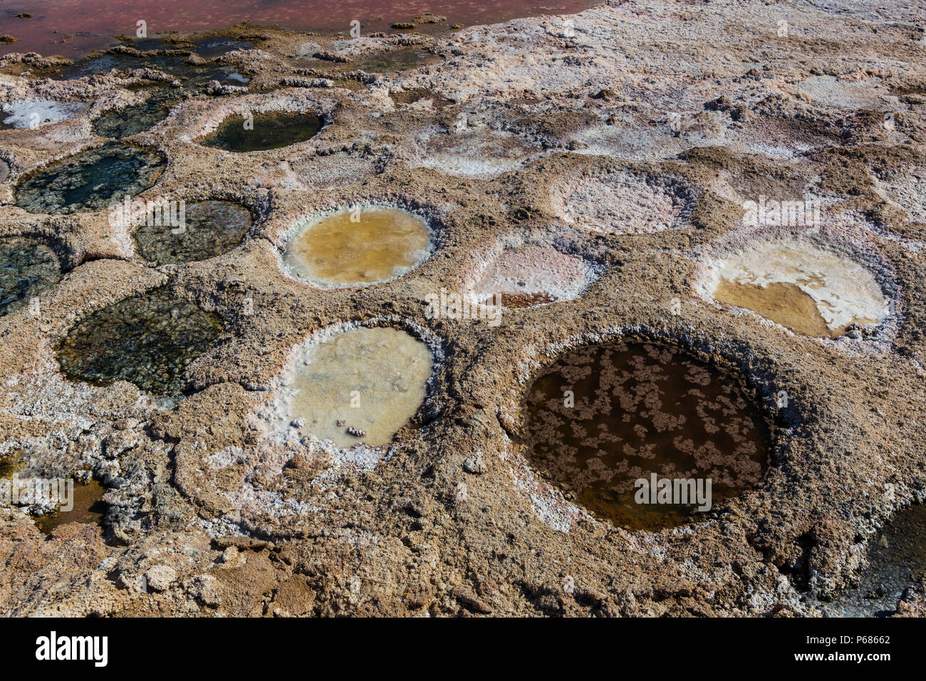 Colorful exposed tilapia nests at the Salton Sea Stock Photo Alamy