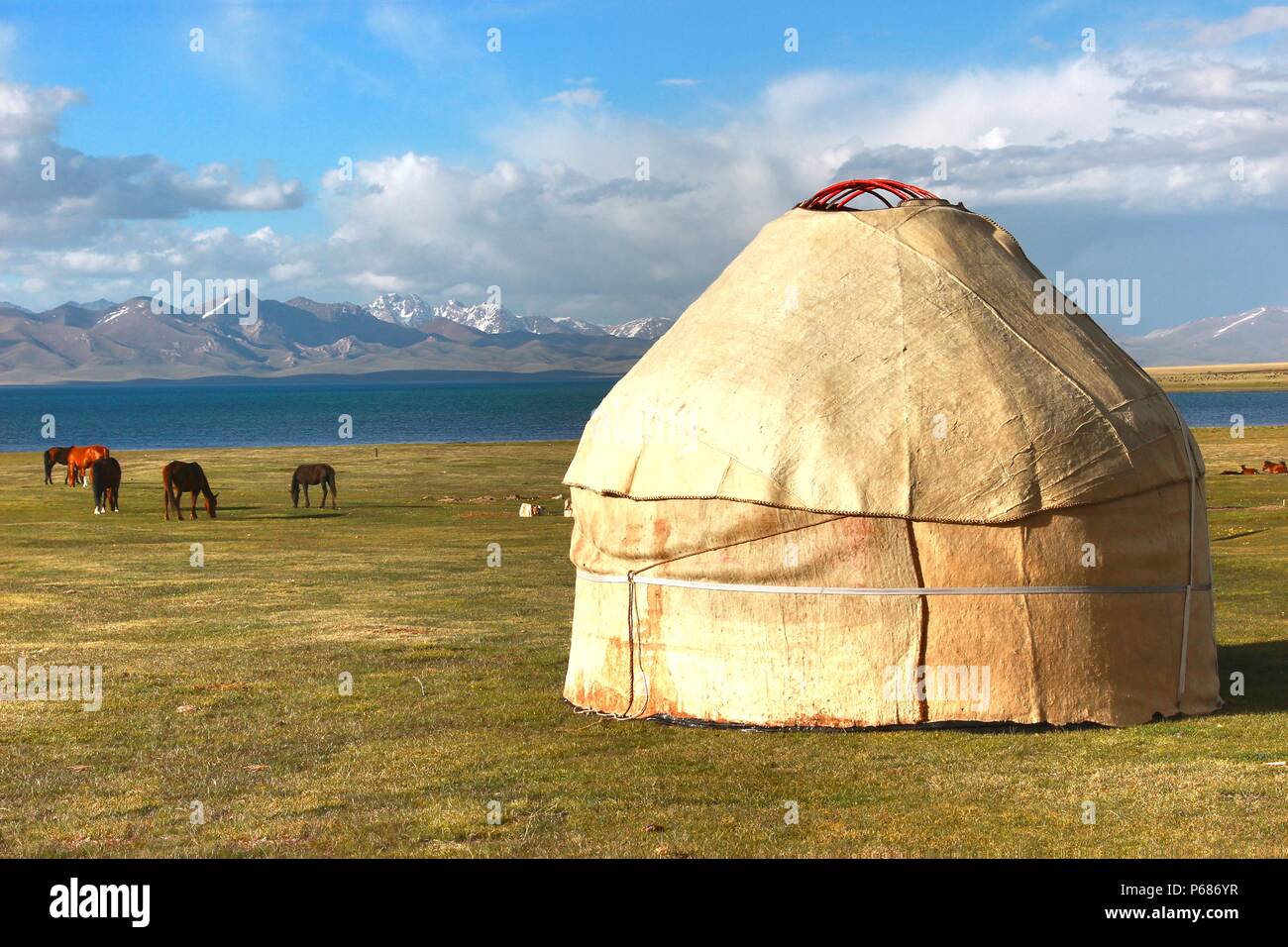 The ger camp in a large meadow at Ulaanbaatar , Mongolia Stock Photo ...