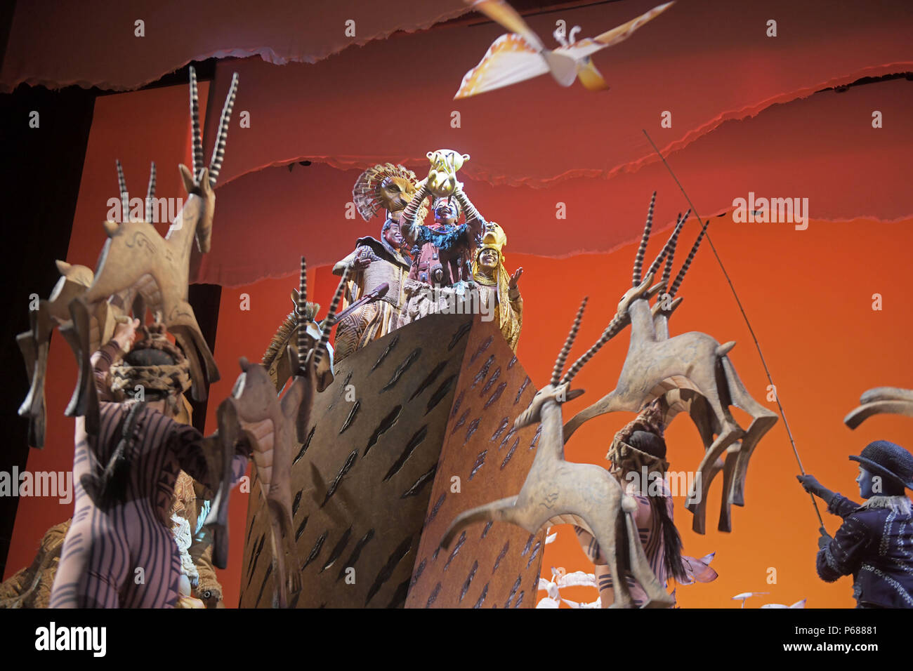 download the lion king musical play download the lion king musical play