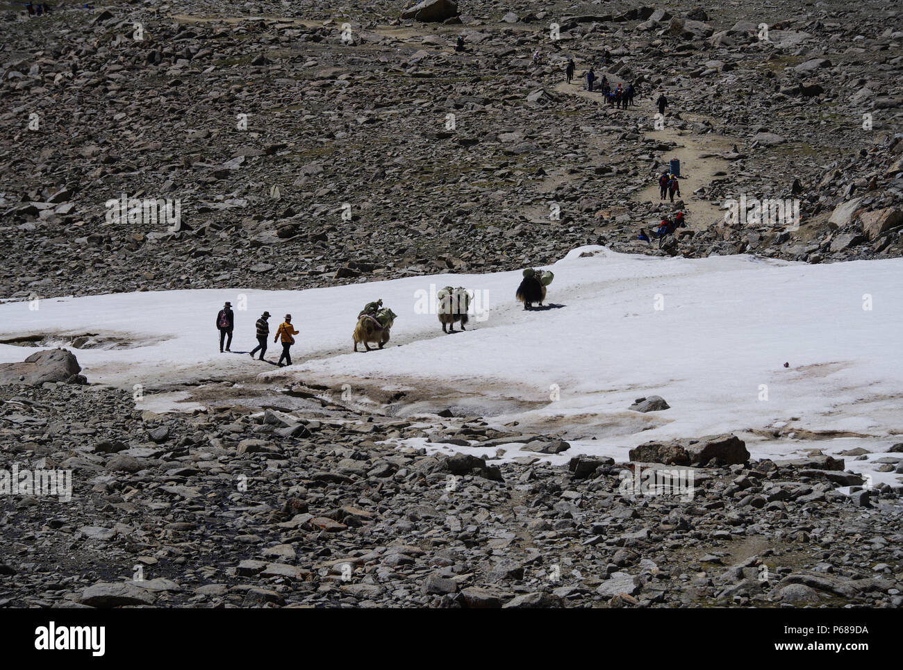 Ali, China's Tibet Autonomous Region. 25th June, 2018. Indian pilgrims travel to Mount Kangrinboqe, a sacred Hindu and Buddhist site, with assistance of a yak transport team, in Ali Prefecture, southwest China's Tibet Autonomous Region, June 25, 2018. This year, the Nathu La Pass is expected to see about 500 officially-organized pilgrims from India who will make the 2,874-km pilgrimage, according to Yang Zhigang, deputy director of the office of foreign affairs and overseas Chinese affairs in Xigaze City. Credit: Liu Dongjun/Xinhua/Alamy Live News Stock Photo