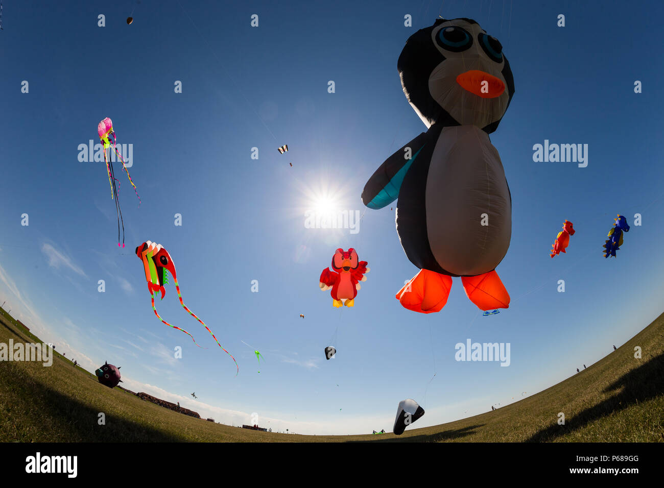 Norddeich, Germany. 28th June, 2018. Large kites against a clear, blue sky over a field. (Photo taken ng fish eye lens) Credit: Mohssen Assanimoghaddam/dpa/Alamy Live News Stock Photo