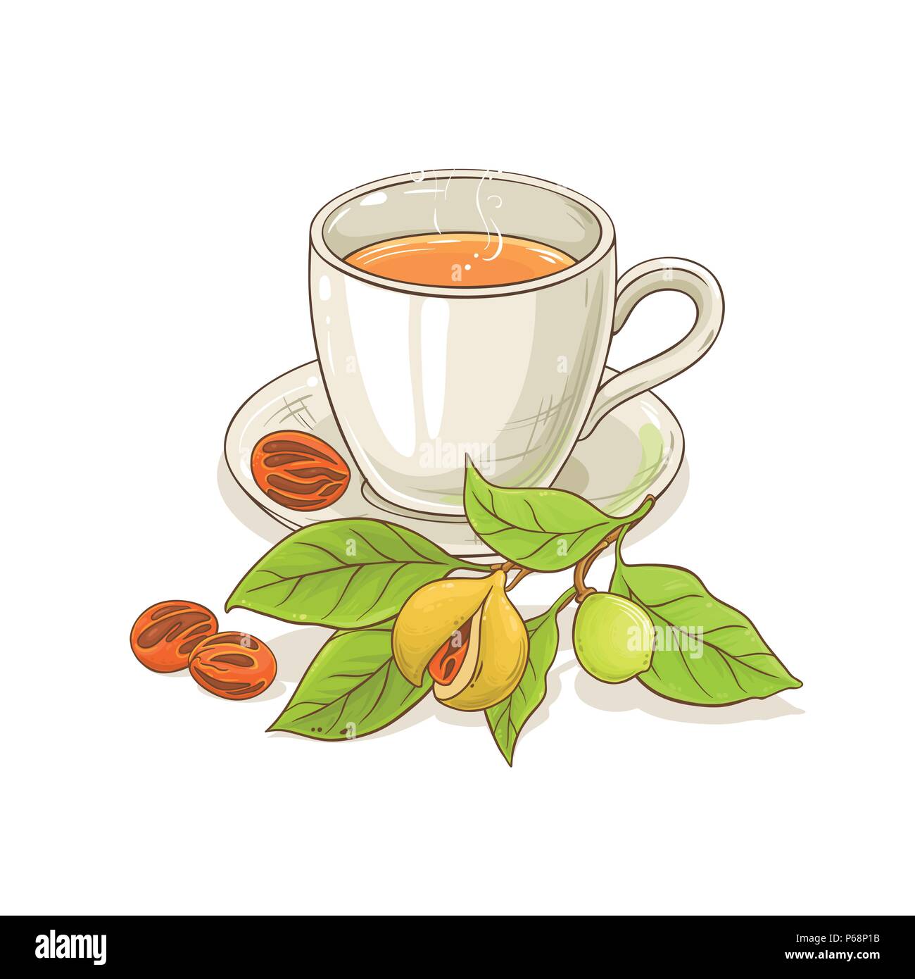 mug of nutmeg tea illustration on white background Stock Vector Image