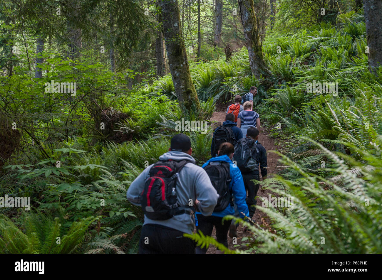 Oyster dome trail hires stock photography and images Alamy