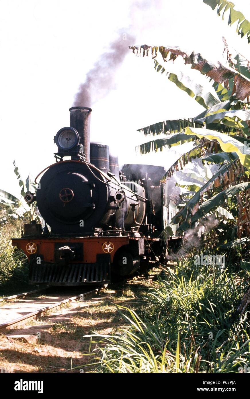 This Lovely Mogul was one of a class of 15 engines built for Brazil's metre gauge Leopoldina Railway in 1899/1900. The engine was a woodburner and wor Stock Photo