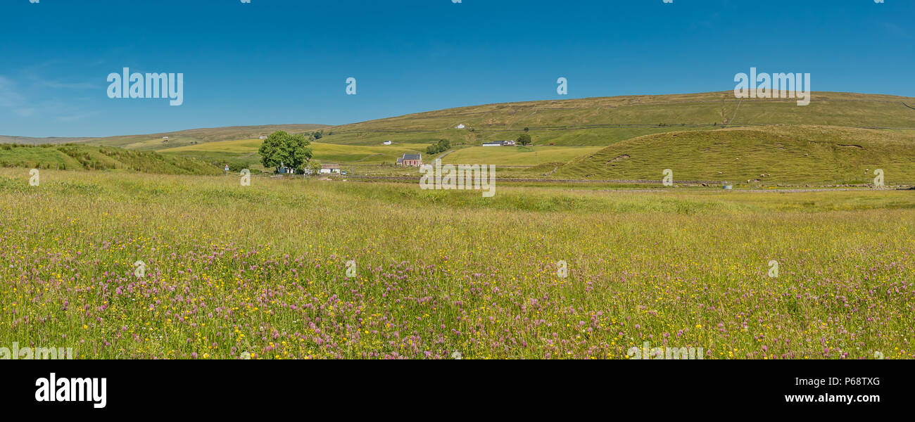 North Pennines AONB panoramic landscape, Hay Meadows at Marshes Gill Farm, Harwood, Upper Teesdale Stock Photo