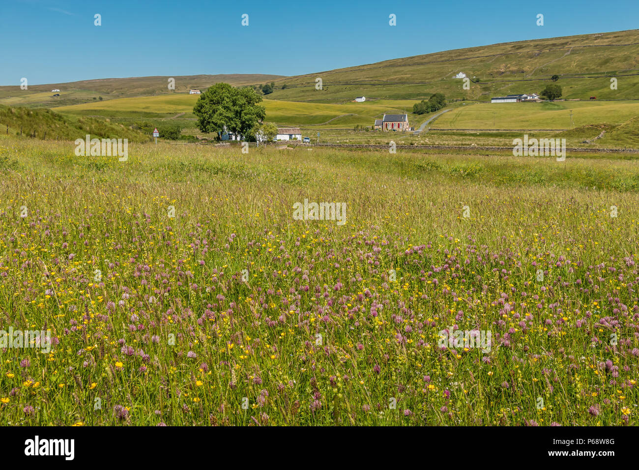 North Pennines AONB landscape, Hay Meadows at Marshes Gill Farm, Harwood, Upper Teesdale Stock Photo