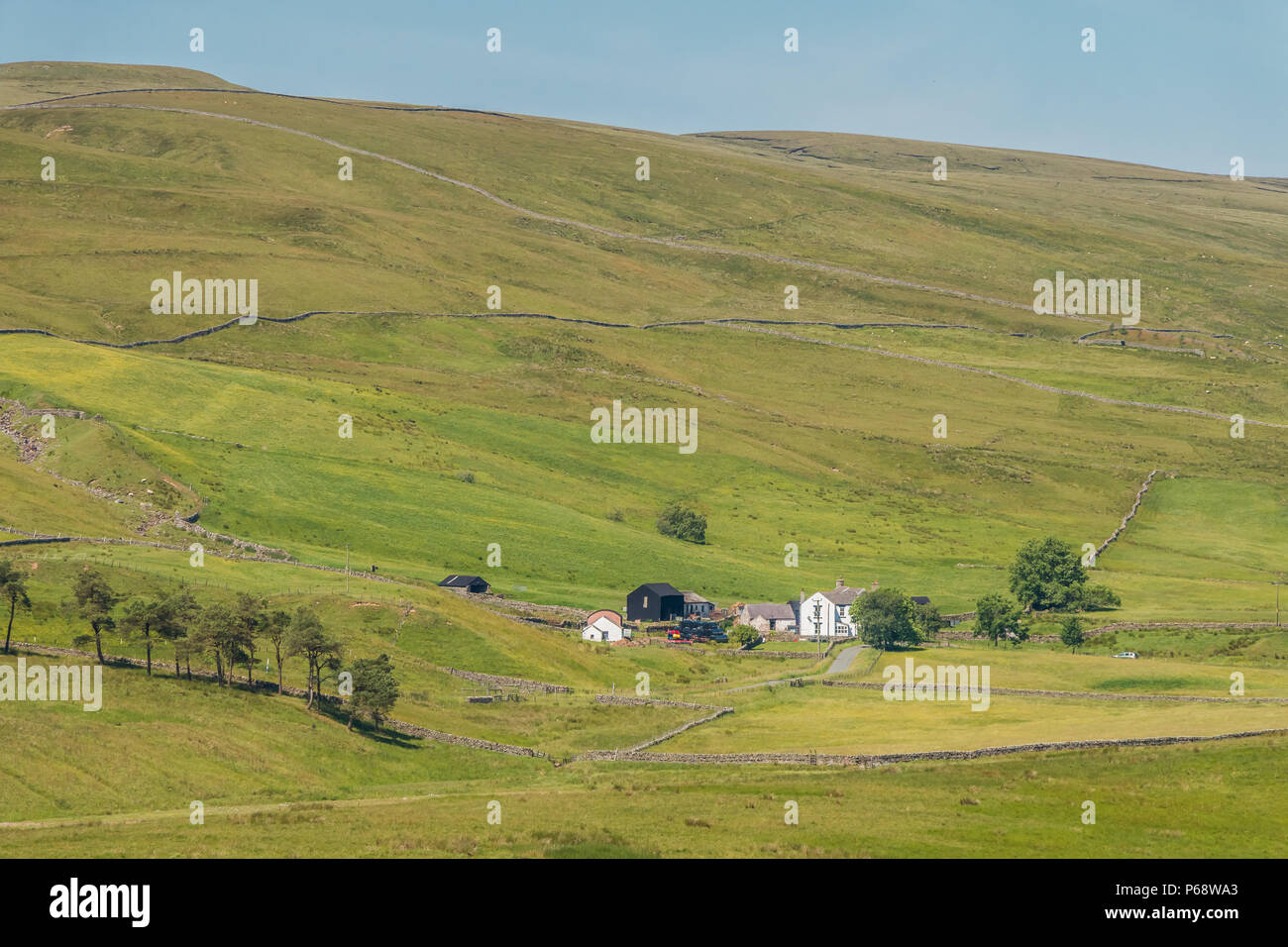 North Pennines AONB Landscape, Marshes Gill Farm, Harwood, Upper Teesdale Stock Photo