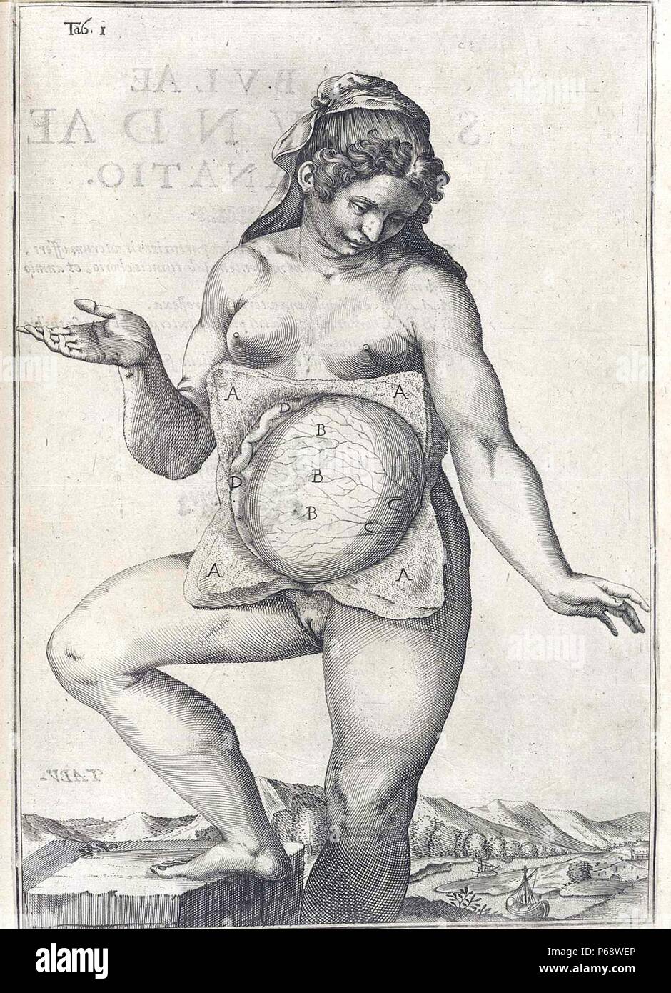 Anatomical drawing of a female body by Adriaan van den Spiegel (1578-1625). Spiegel was a Flemish anatomist who was born in Brussels and practiced medicine in Padua. He is known as one of the greatest physicians associated with the city. Stock Photo