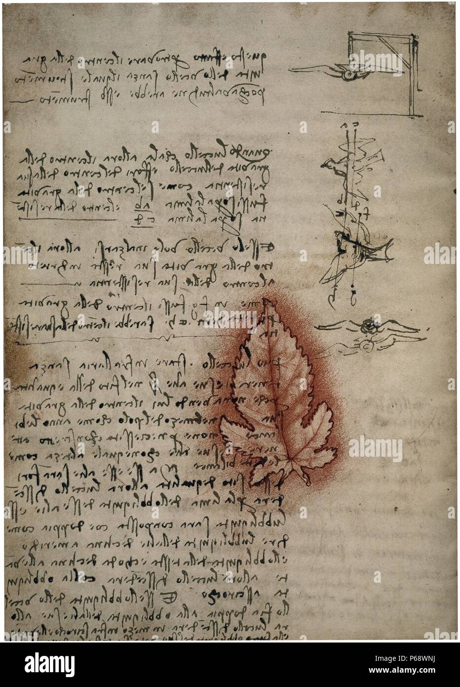 Codex on the Flight of Birds; circa 1505. By Leonardo da Vinci. Stock Photo