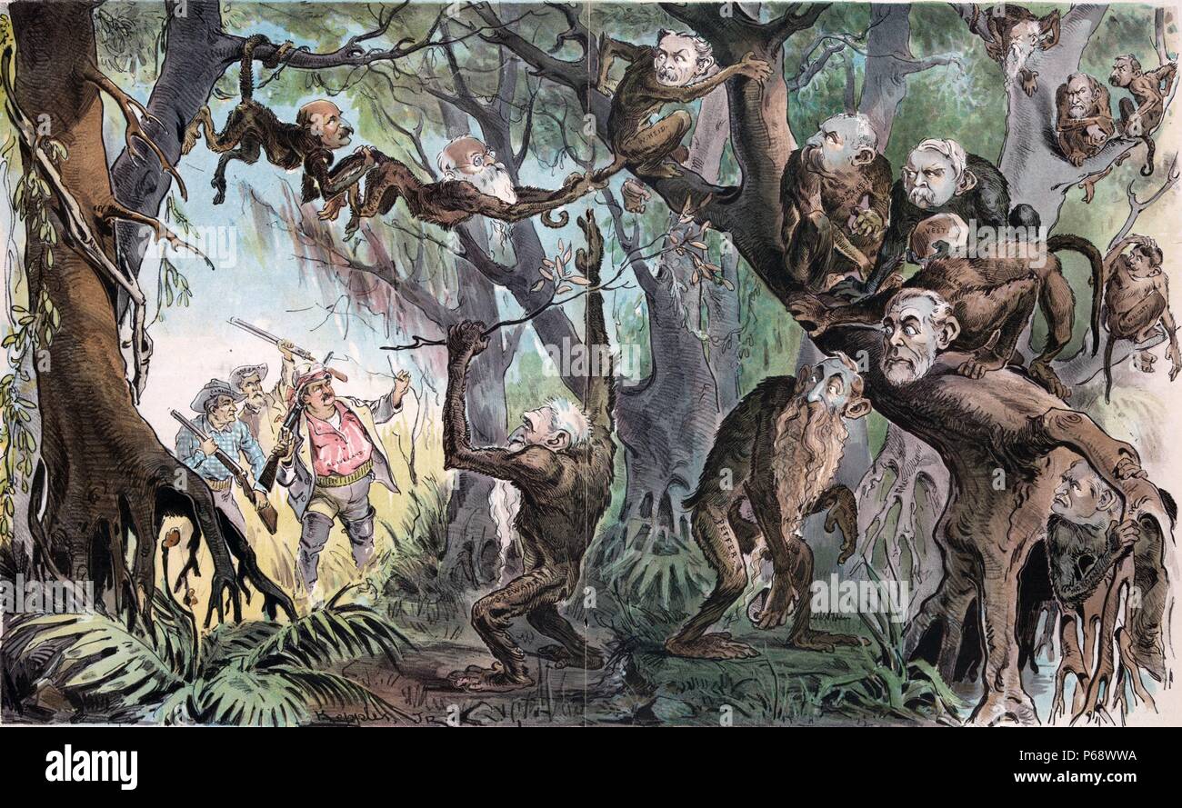 Through the jungle by Udo Keppler, 1872-1956, artist. Published 1893.shows President Cleveland as an explorer, with cabinet members John G. Carlisle and Walter Q. Gresham, in a jungle, where they have come across a band of monkeys labelled 'D. Hill, C. Dana, W. Reid, Blackburn, Vest, Jones, Pugh, Foraker, Wolcott, Teller, Morgan, Peffer, [and] Stewart'. Stock Photo