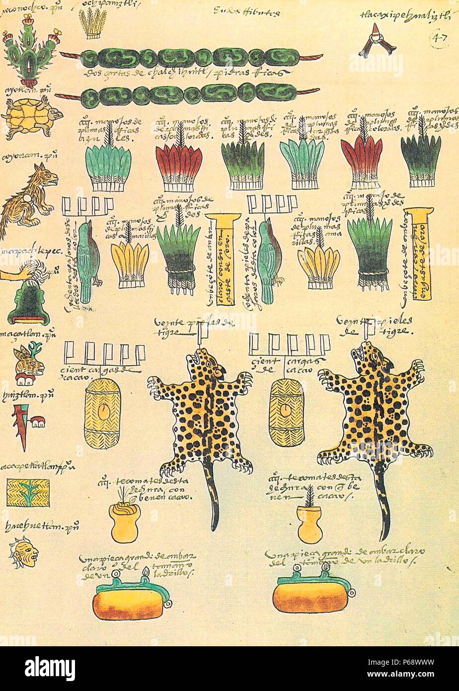 The Codex Mendoza; Aztec codex, created about twenty years after the Spanish conquest of Mexico with the intent that it be seen by Charles V, the Holy Roman Emperor and King of Spain. It is a history of the Aztec rulers and their conquests, a list of the tribute paid by the conquered, and a description of daily Aztec life 1553 Stock Photo
