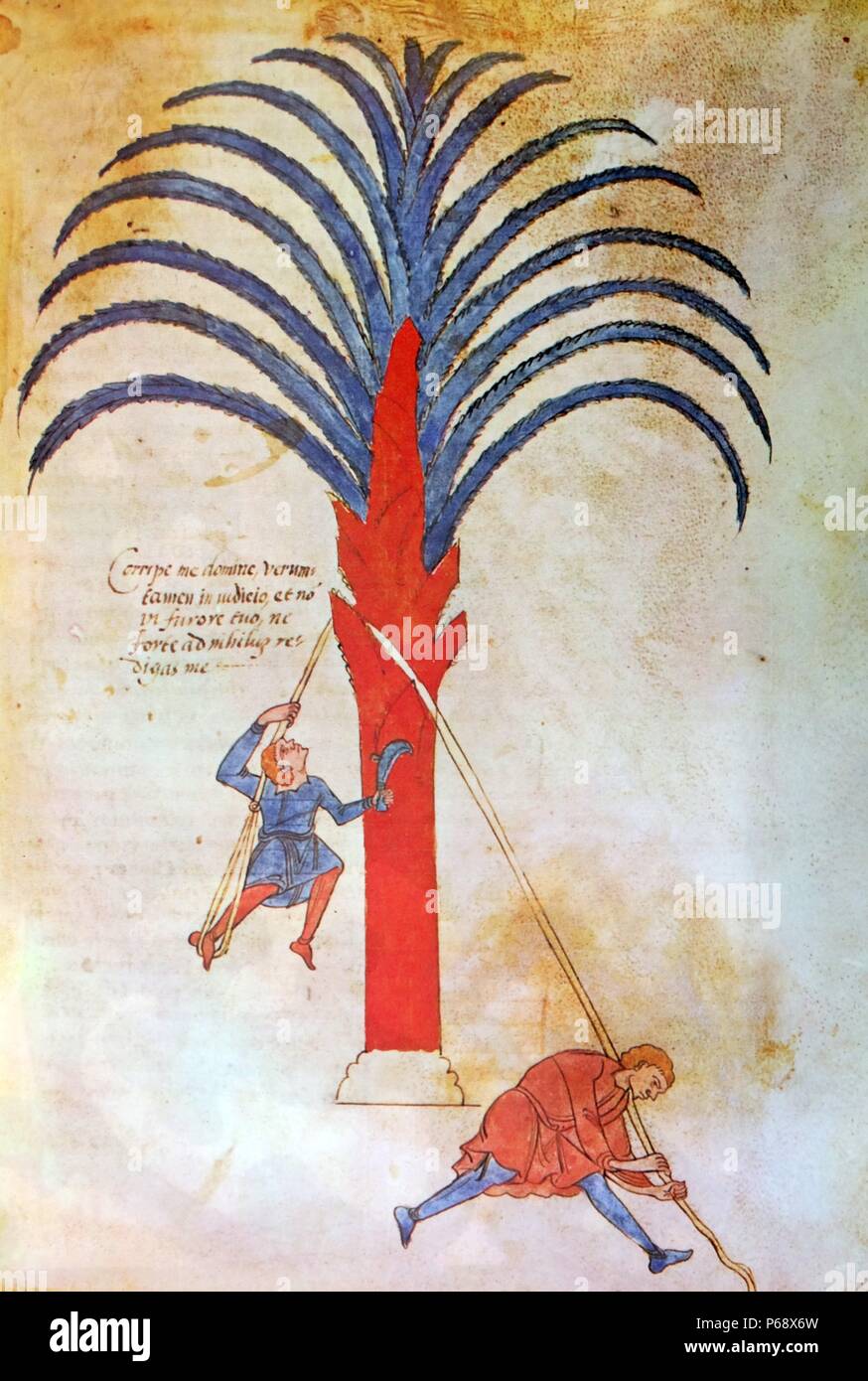 Romanesque manuscript from the commentary on the Apocalypse, an eighth century work by the Spanish monk and theologian Beatus of Liebana (730AD-800AD) Stock Photo