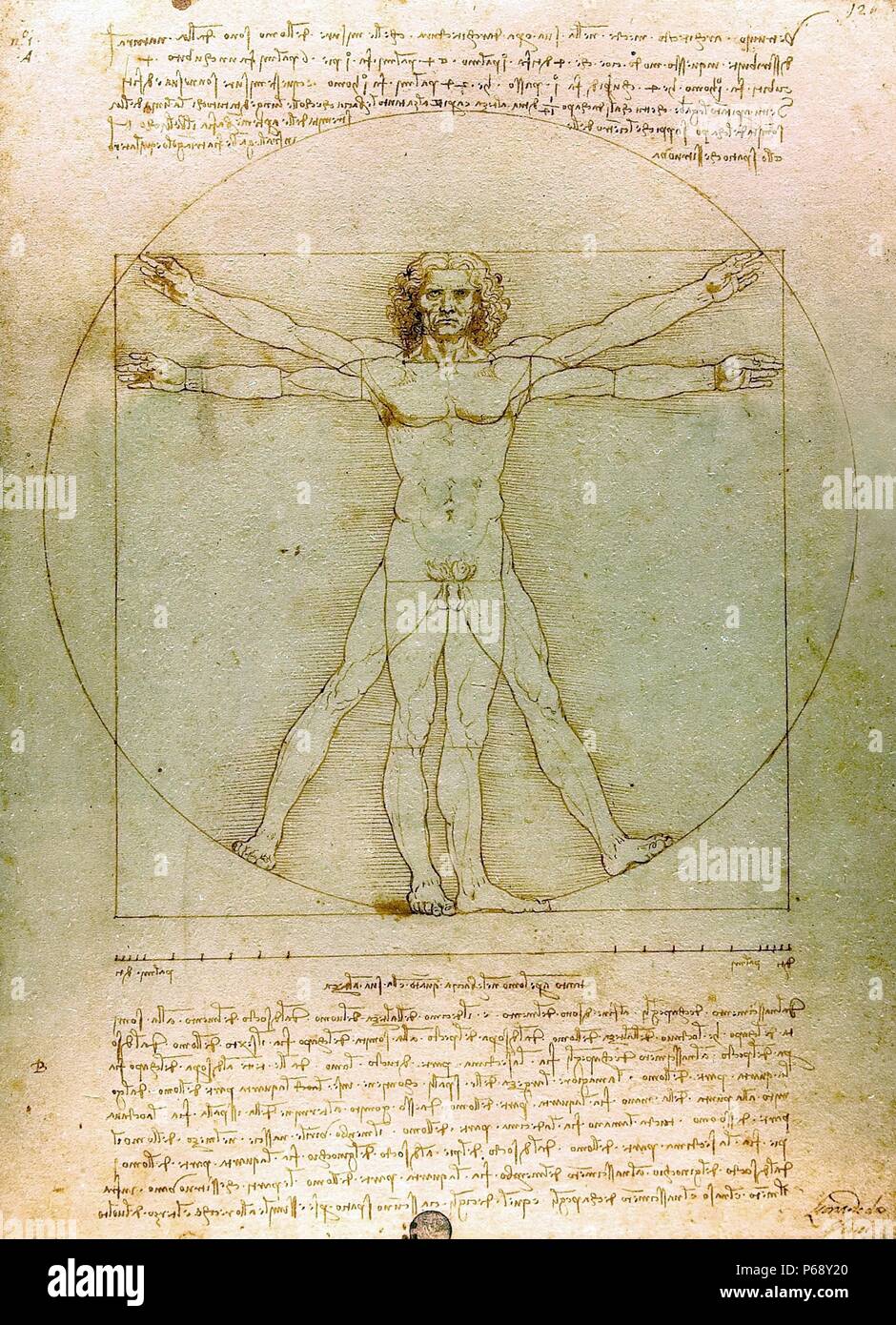 The Vitruvian Man. By Leonardo da Vinci. Dated 15th Century Stock Photo