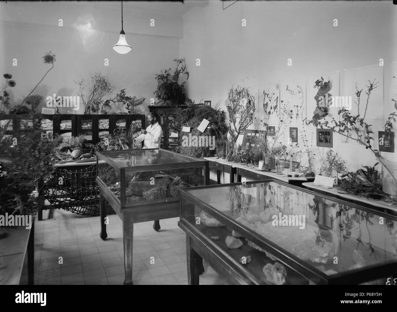 Photograph of the Biblical Botanical Department at the Hebrew University, Jerusalem. Dated 1936 Stock Photo