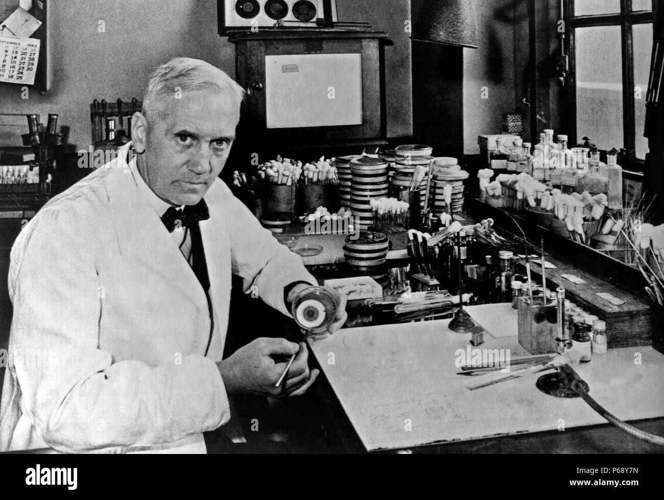 Sir Alexander Fleming, (6 August 1881 – 11 March 1955) was a Scottish biologist, pharmacologist and botanist who discovered Penicillin Stock Photo