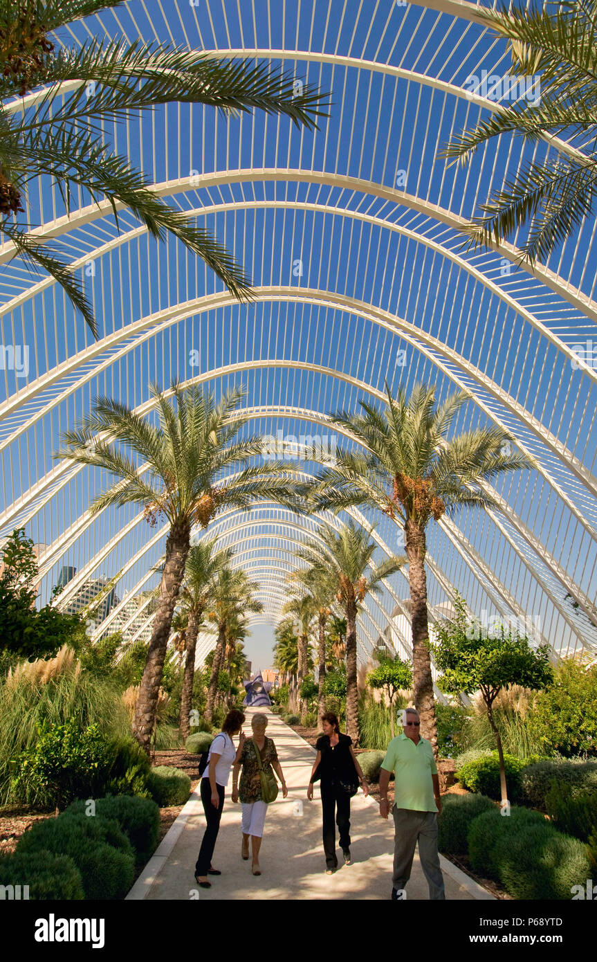 14 October 2009 - Valencia, Spain - The Umbracle. The structure, an oblong dome of steel latticework designed to create shade, is part of spanish arch Stock Photo