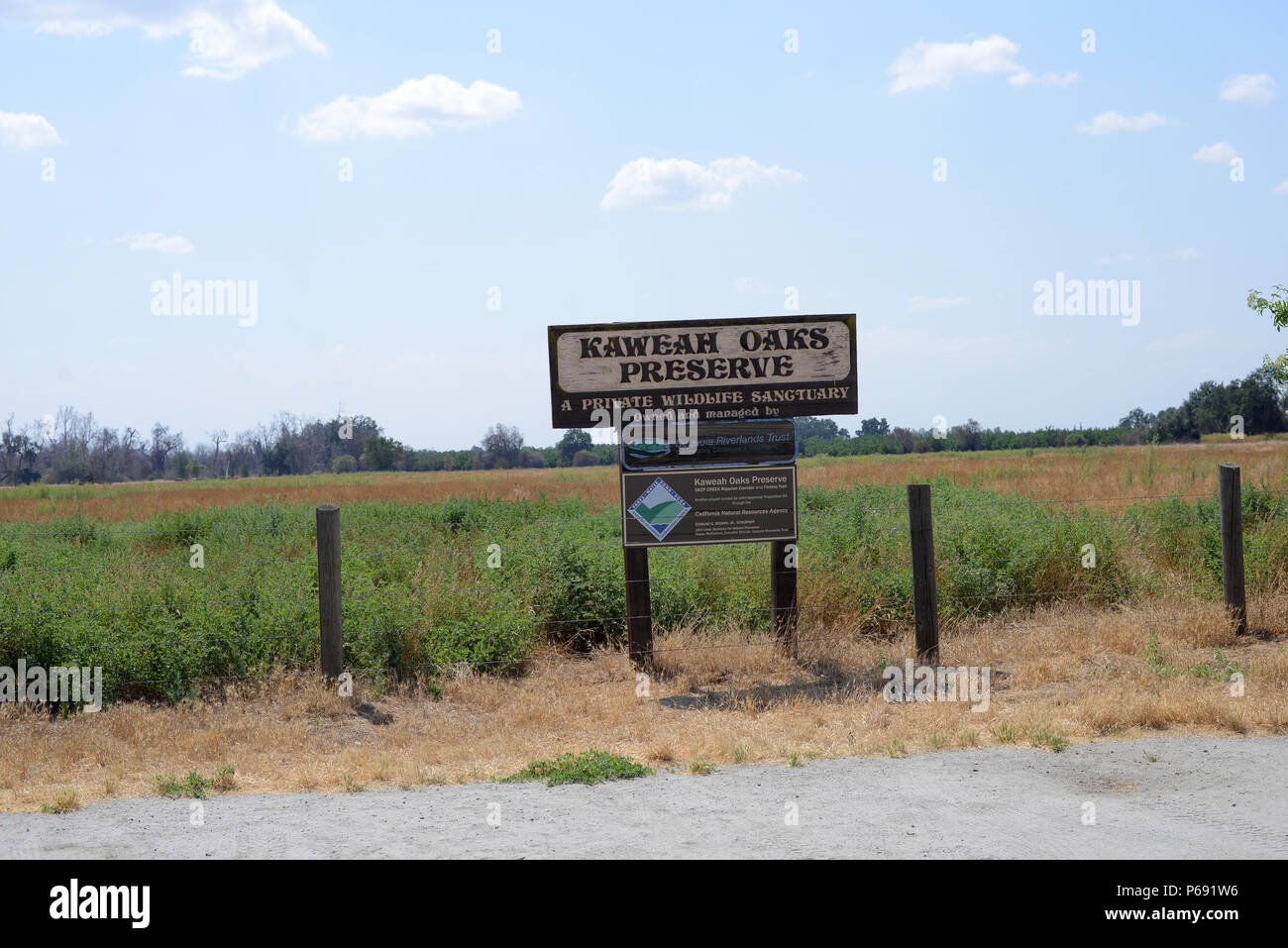 Kaweah Oaks Preserve at Exeter, California, Monday, May 23, 2016. (U.S