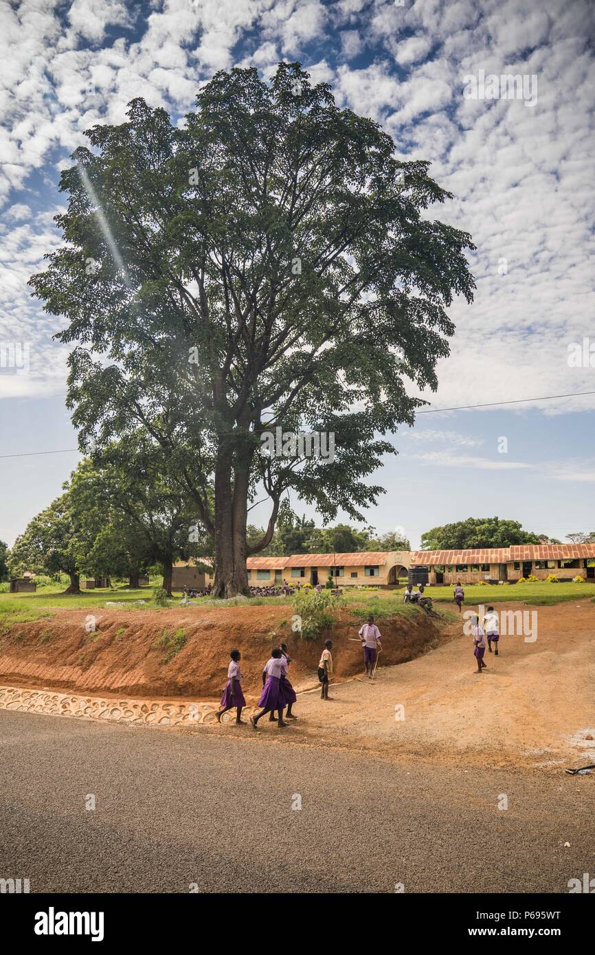 Pupils are seen walking to their school. Primary school students on their last day of term in a local school near the town of Hoima in western Uganda. Stock Photo