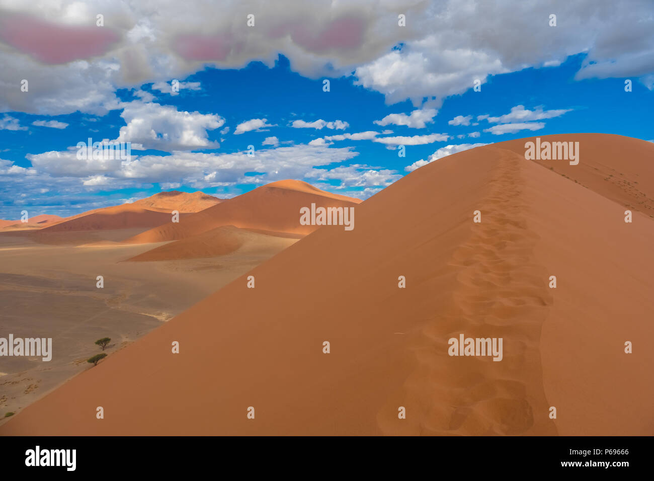 Big Daddy - tallest dune in the Sossusvlei area - Grösste Sanddüne der Welt  in Namibia Stock Photo - Alamy