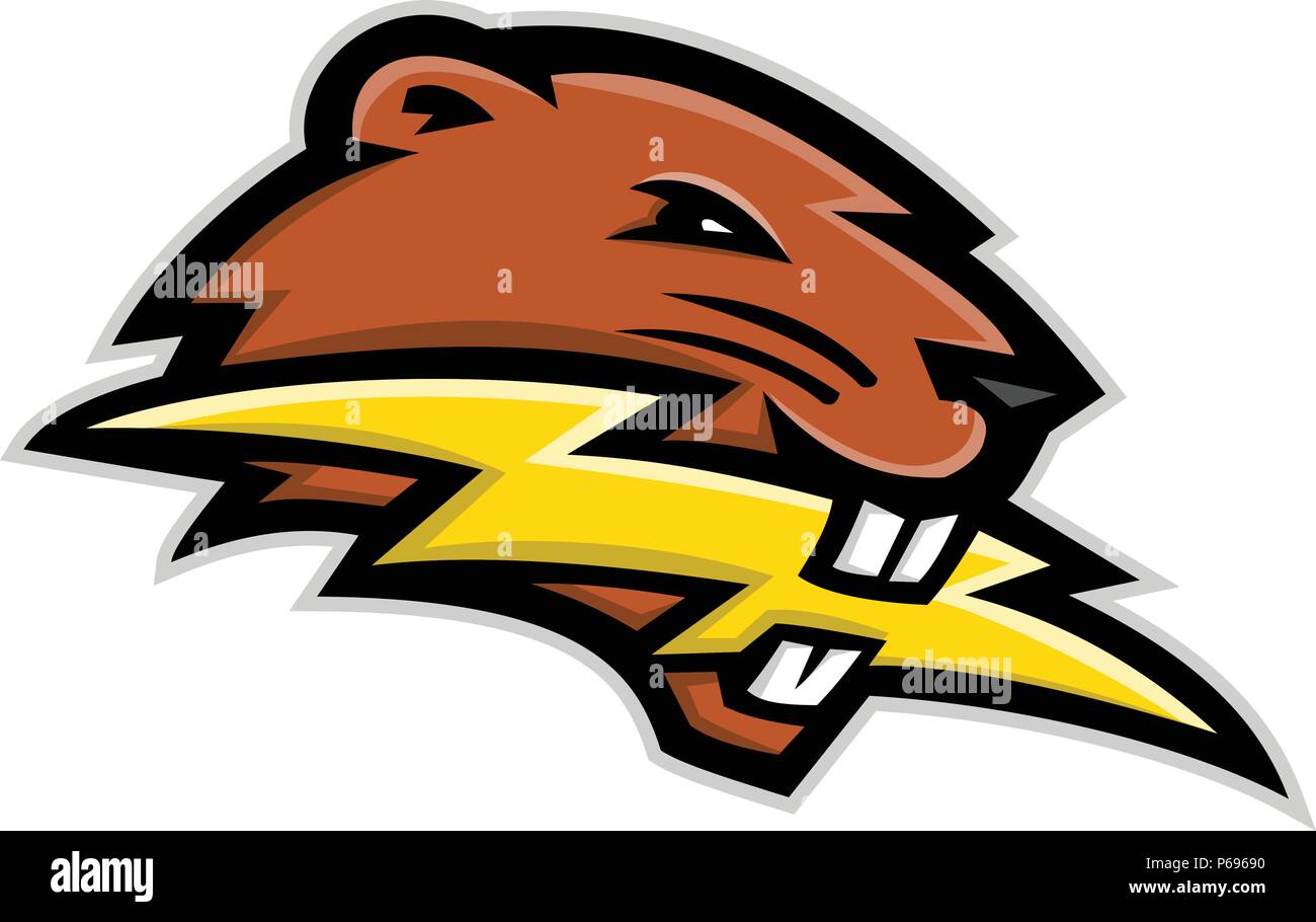 Mascot icon illustration of head of a North American beaver, a large, primarily nocturnal, semi-aquatic rodent, biting a lightning bolt or thunderbolt Stock Vector
