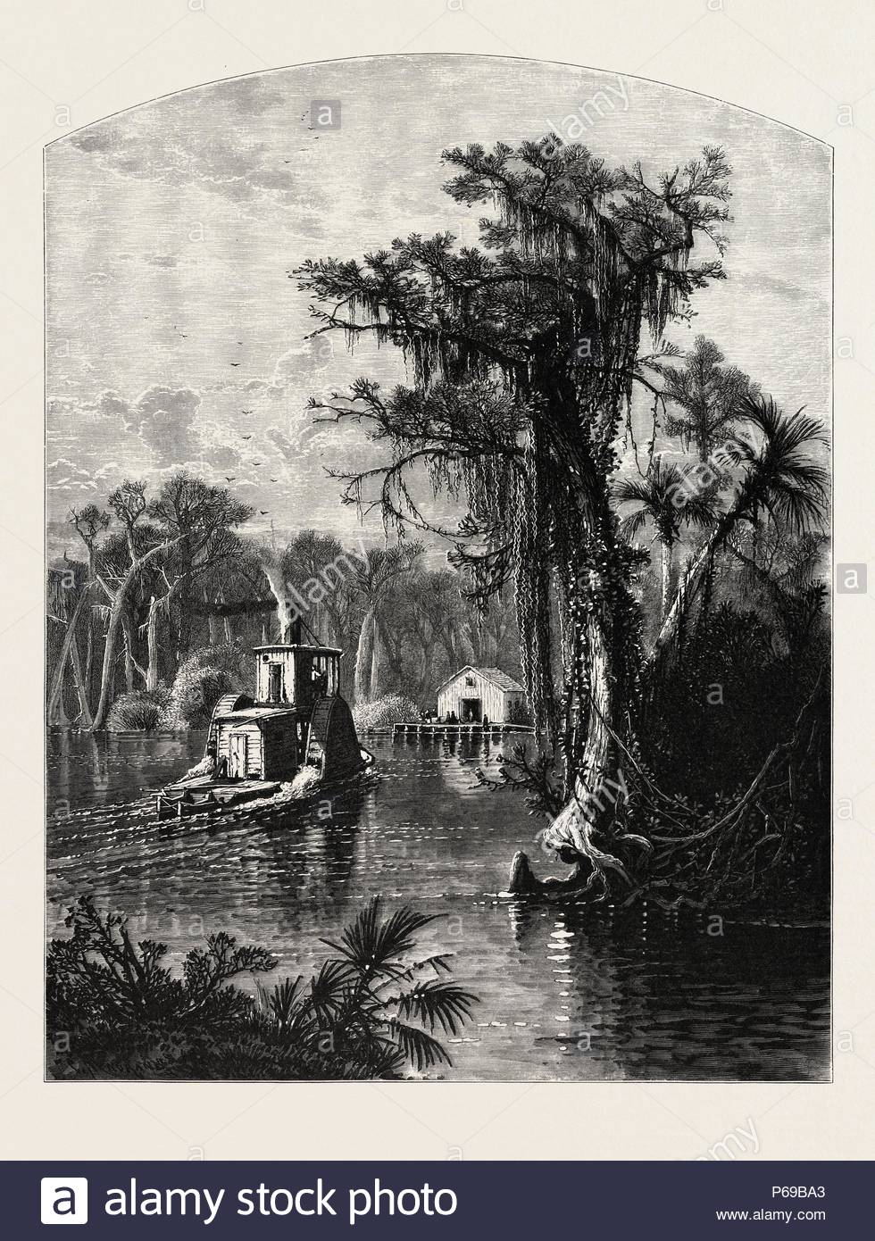 Ocklawaha River Chart