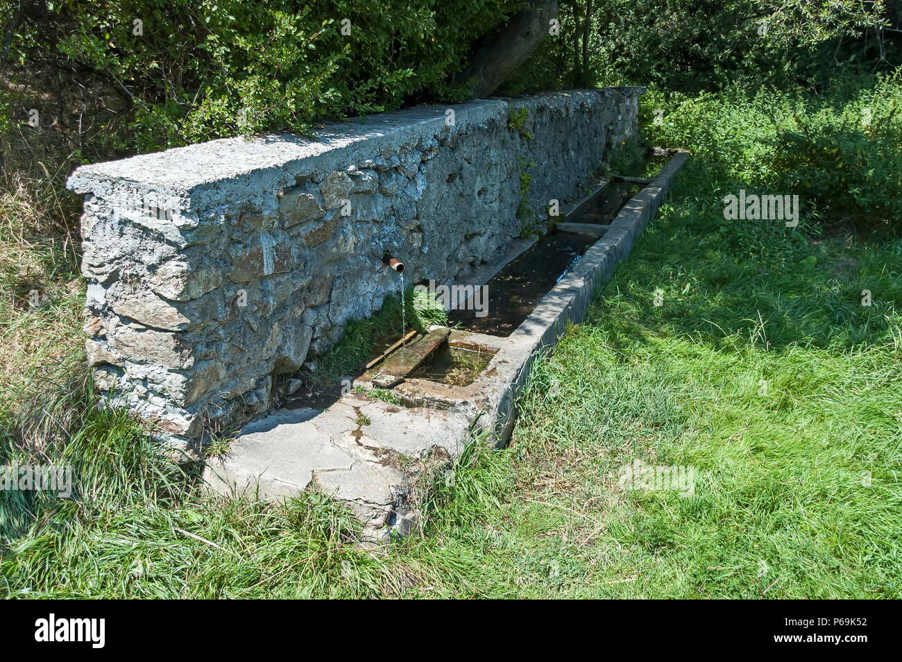 Big fresh water gush from old fountain near road in the forest at Sredna Gora mountain, Ihtiman, Bulgaria Stock Photo
