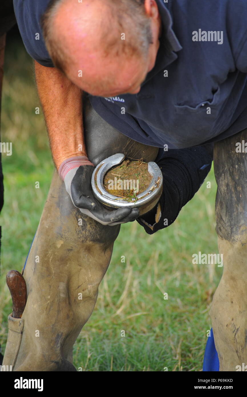 Farrier shoeing a horse Stock Photo