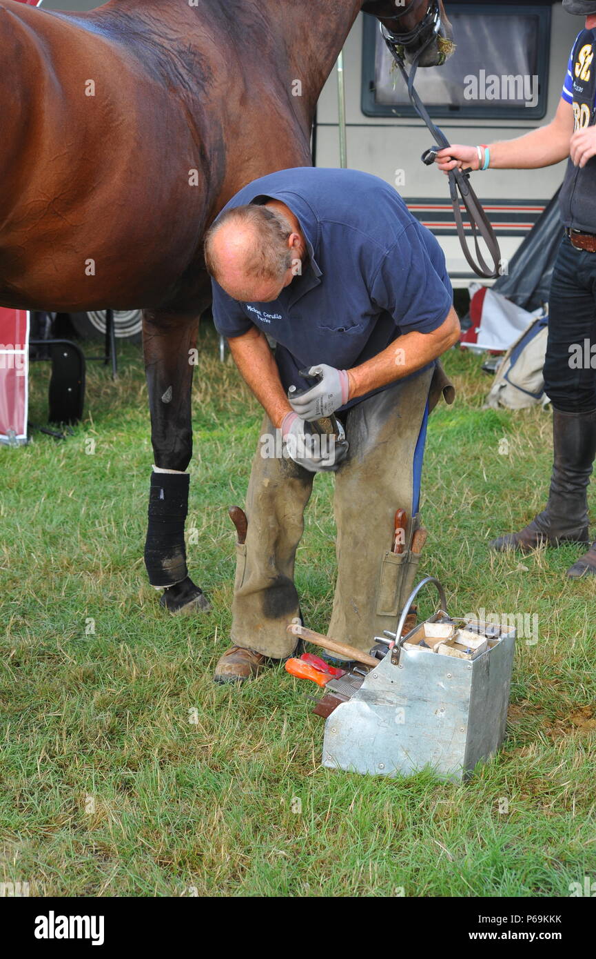 Farrier shoeing a horse hires stock photography and images Alamy