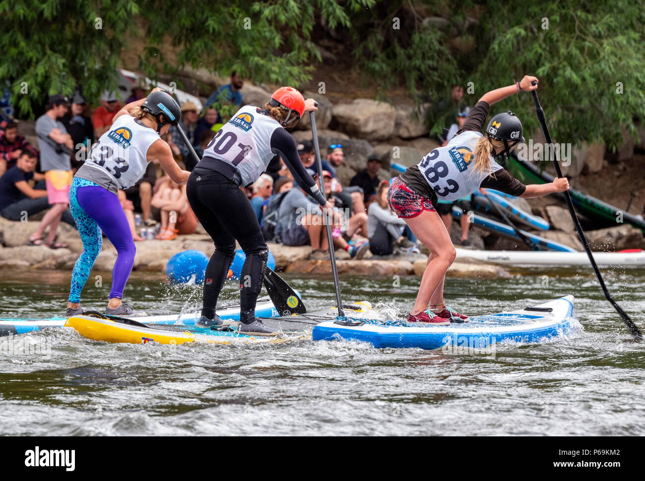 Female competitors race in standup paddleboard event; Fibark river festival; Arkansas River; Salida; Colorado; USA Stock Photo