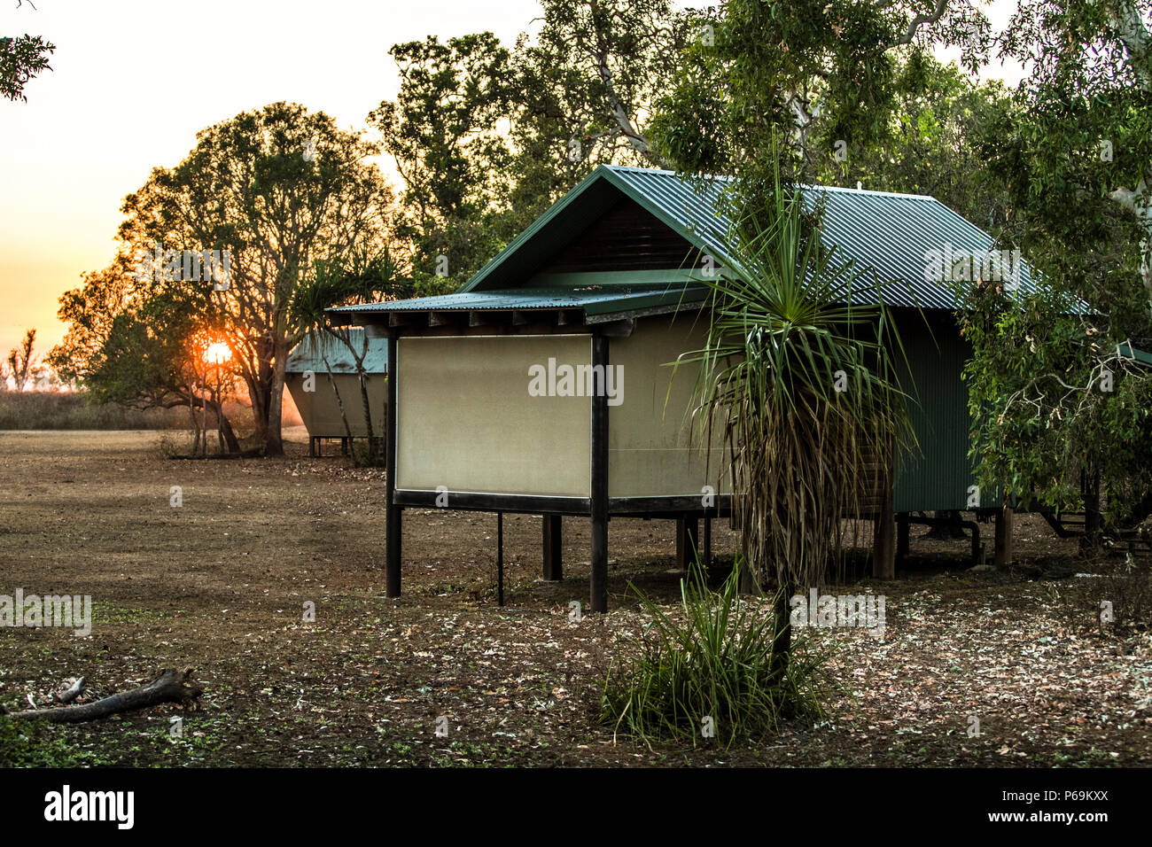 Sunset with Water Buffalos. At a sufficient distance from each other, but all the closer to nature, are ten suites and bungalows of Bamurru Plains Lodge, Northern Territory, Australia Stock Photo
