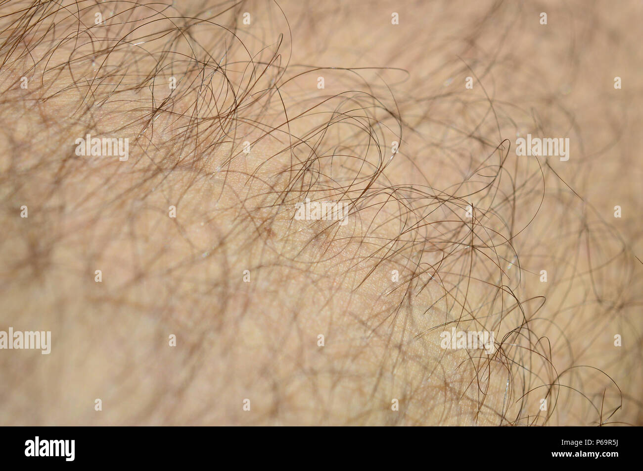 Hairy Legs Man Stock Photos & Hairy Legs Man Stock Images Alamy
