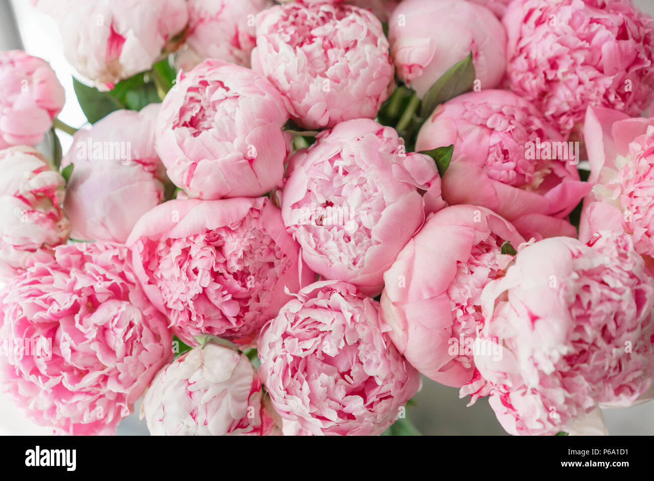 Beautiful Bouquet Of Pink Peonies Floral Composition Daylight Wallpaper Lovely Flowers In Glass Vase Stock Photo Alamy Beautiful Bouquet Of Pink Peonies Floral Composition Daylight Wallpaper Lovely Flowers In Glass Vase Stock Photo Alamy